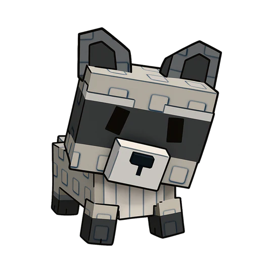RACCOON