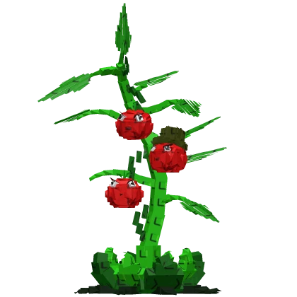 Tomatrio