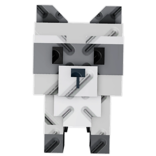 Raccoon