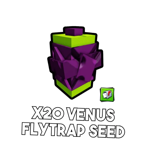 x20 Venus Fly Trap Seed