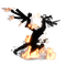 Yin Yang
