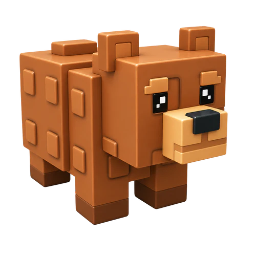 x25 Bear