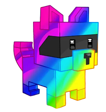 Rainbow Raccoon