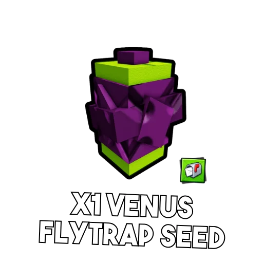 x1 Venus Fly Trap Seed