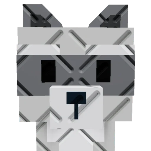 Big Raccoon