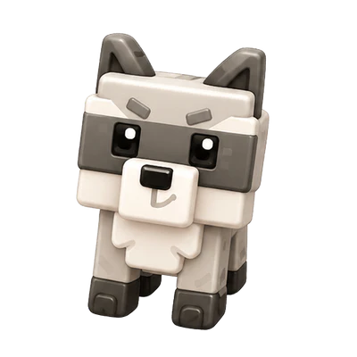 Raccoon